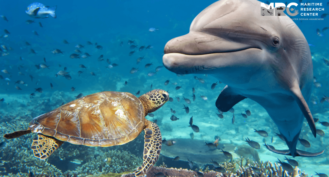 Managing Underwater Radiated Noise in the Marine Environment Using Marine Spatial Planning