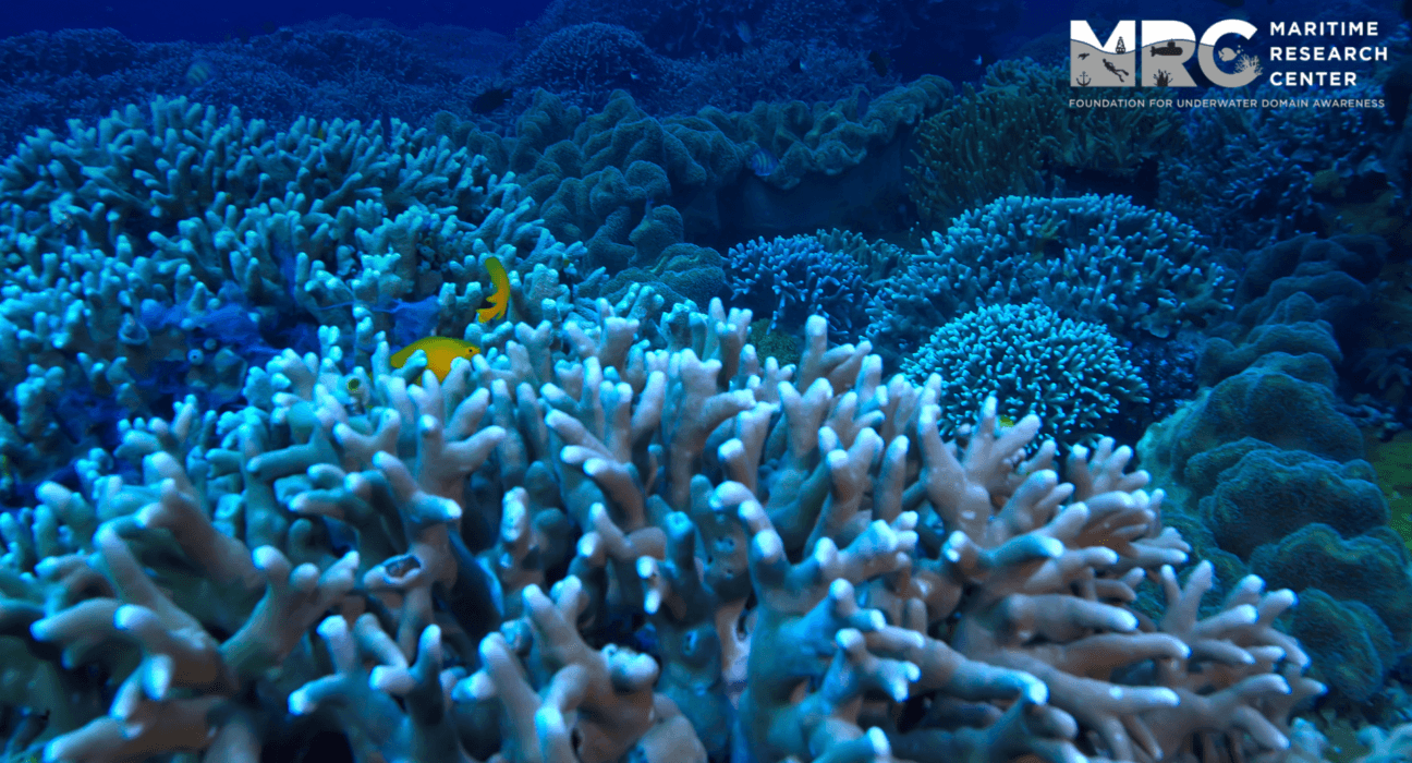 Marine Spatial Planning (MSP) Implementation, based on Modelling & Simulation (M&S), driven by the Underwater Domain Awareness (UDA) framework